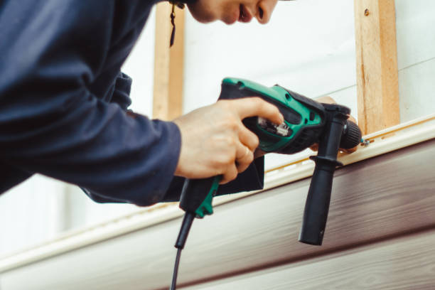 Professional Siding in Lake Isabella, CA